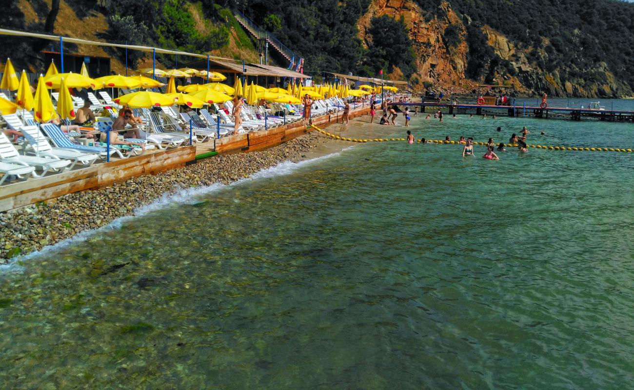 Photo de Halik Koyu Aile Plaji avec galets beige de surface