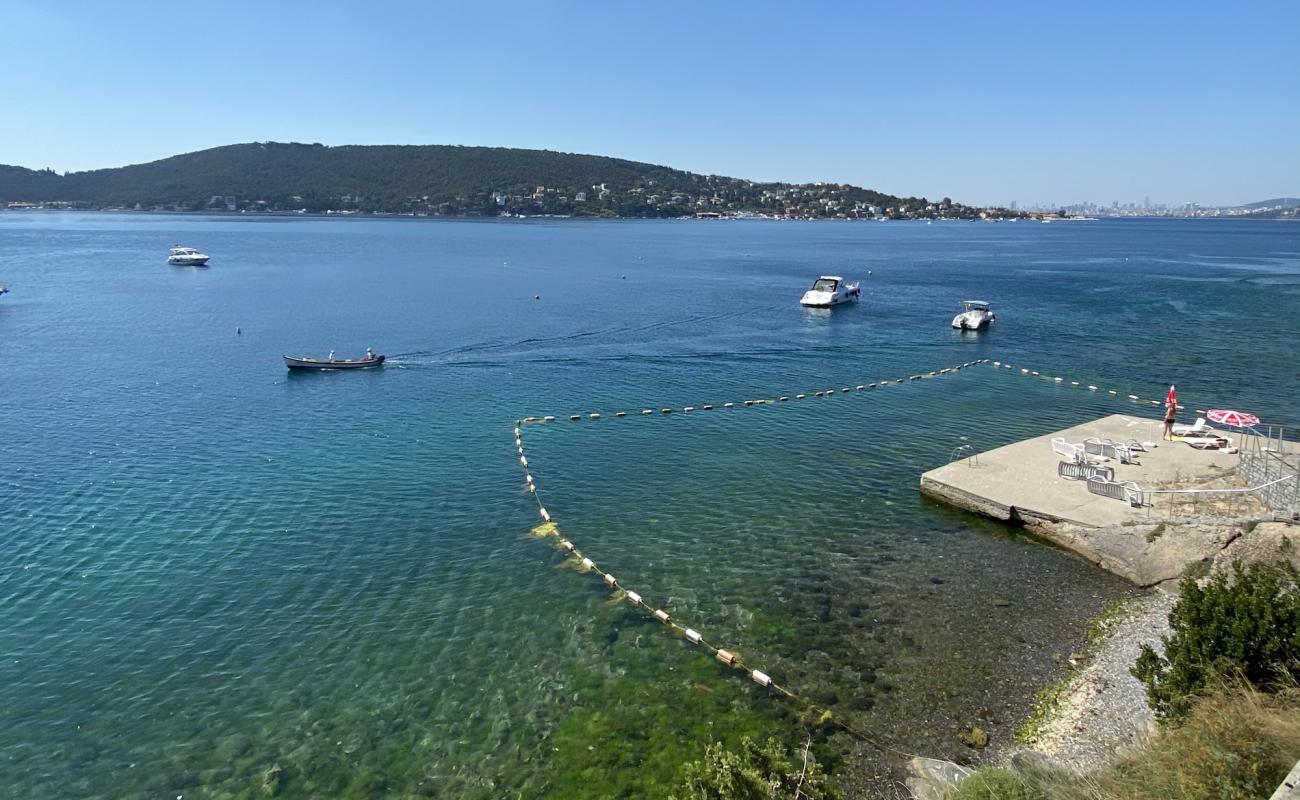 Photo de Elio Sedef avec surface béton pavée de surface