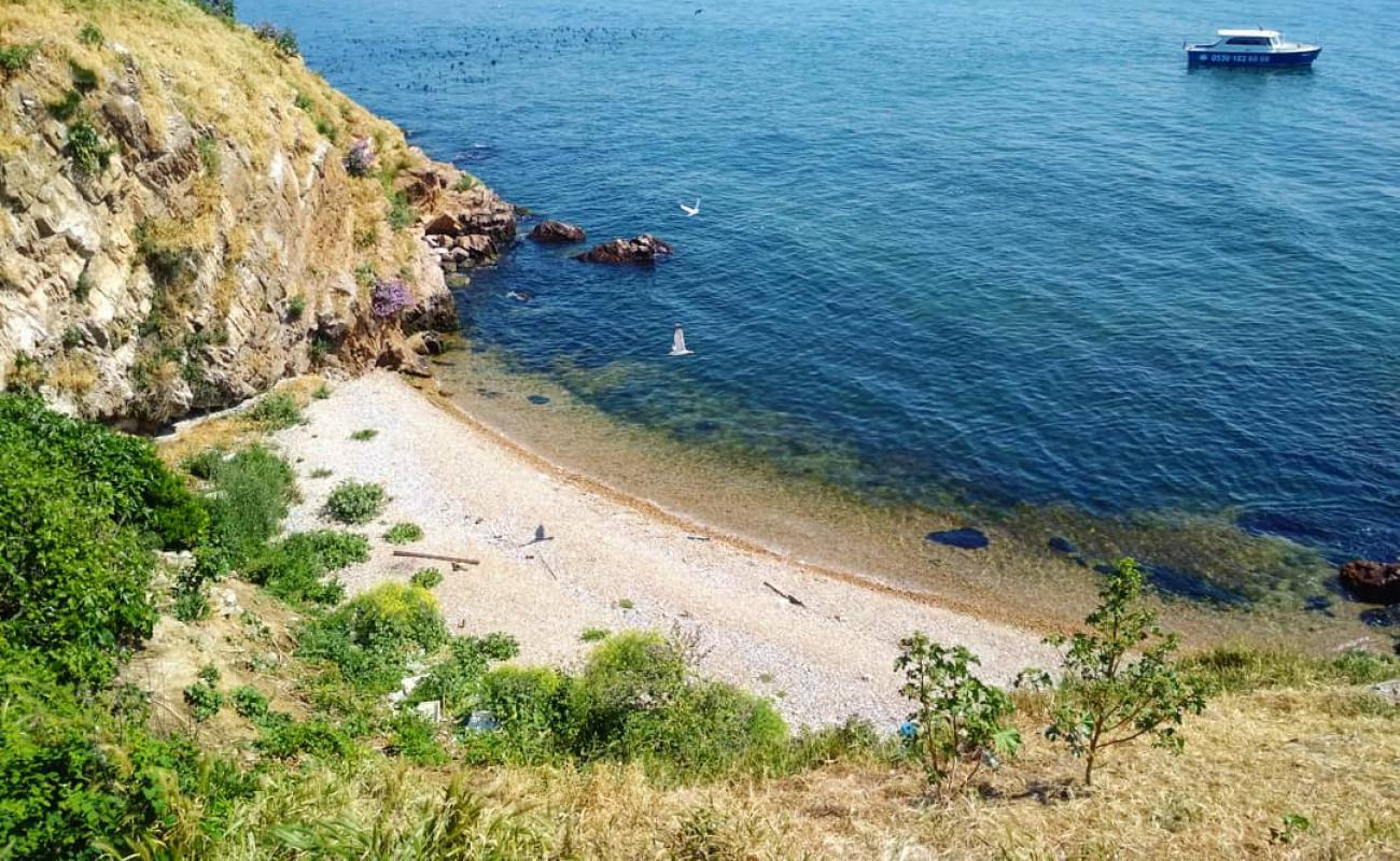 Photo de Tavsan Island avec caillou gris de surface