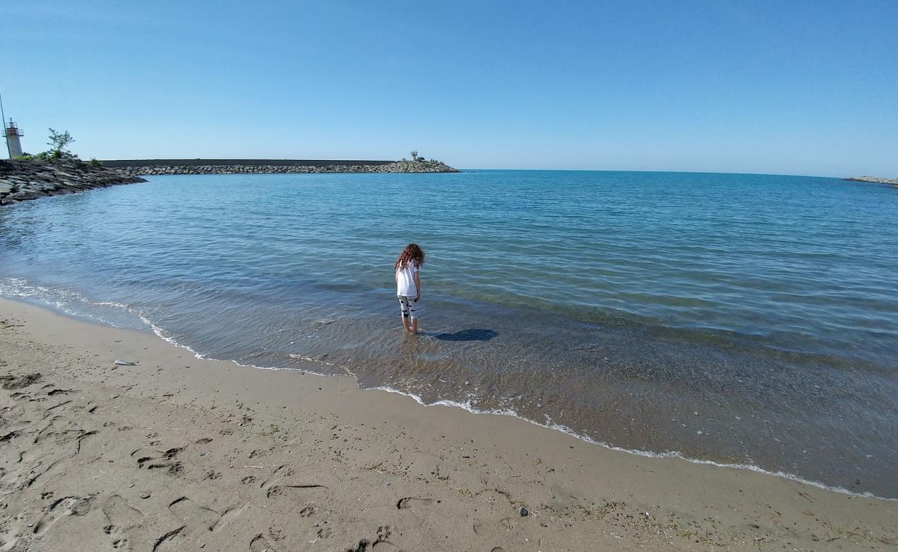 Photo de Vice Beach avec sable lumineux de surface