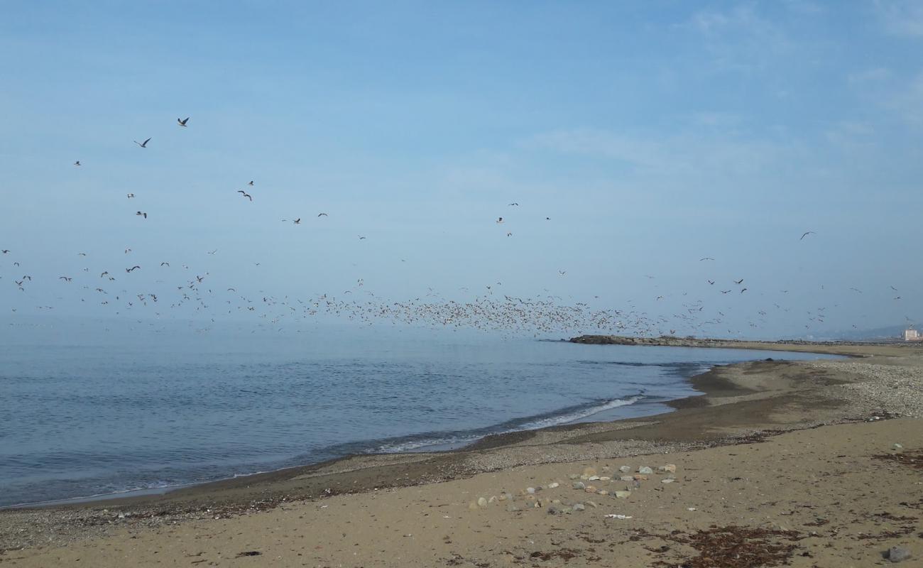 Photo de Sogukpinar Neighborhood Beach avec sable brillant et rochers de surface