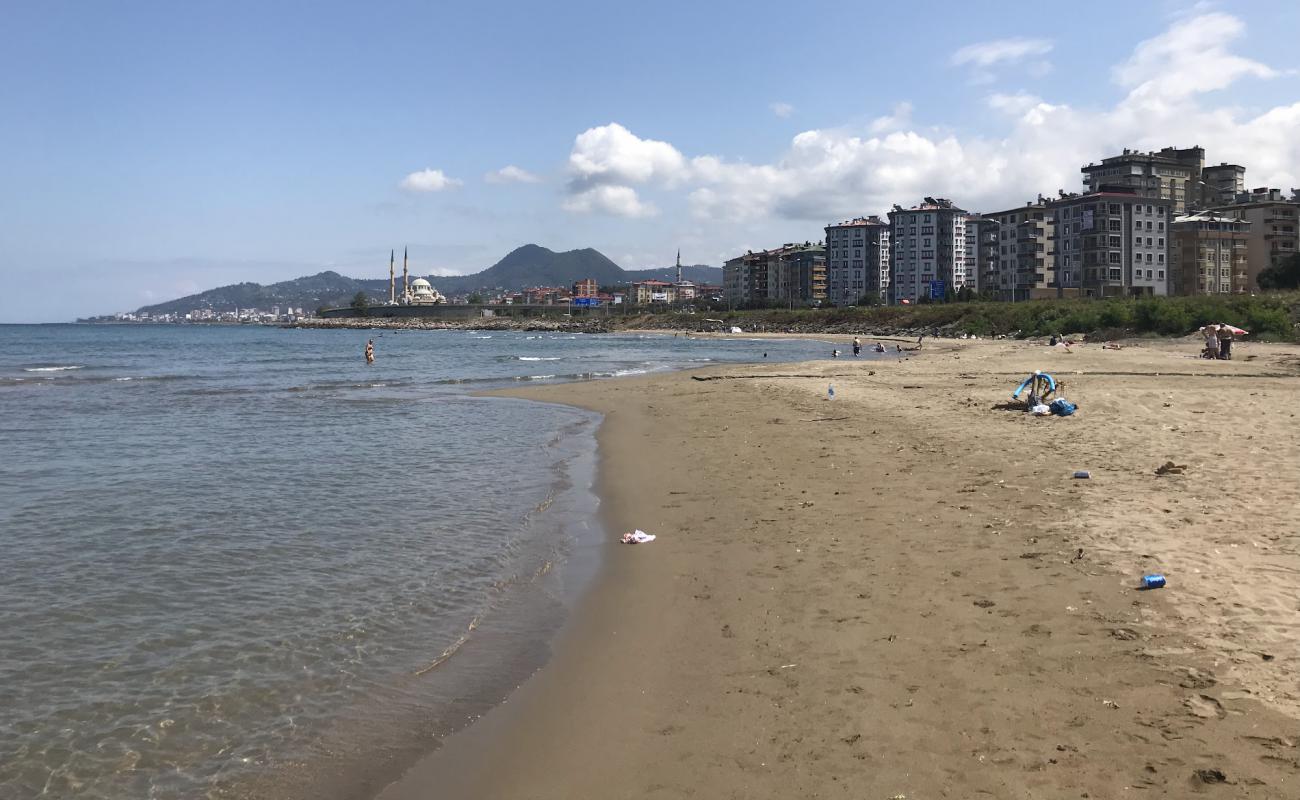Photo de Municipal Beach avec sable beige de surface