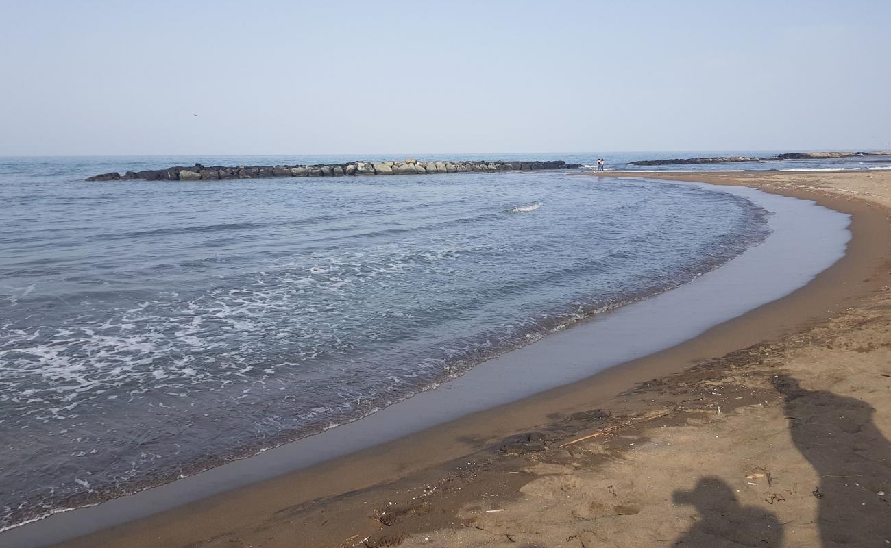 Photo de Altinordu Beach avec sable beige de surface