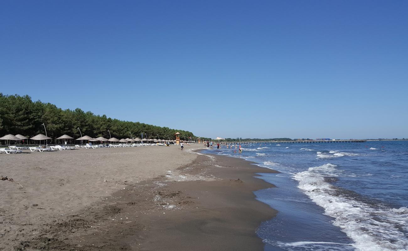 Photo de Milic Beach avec sable gris de surface