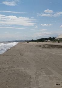 Province de Samsun