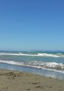 Province de Sinop