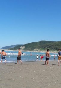 Province de Sinop