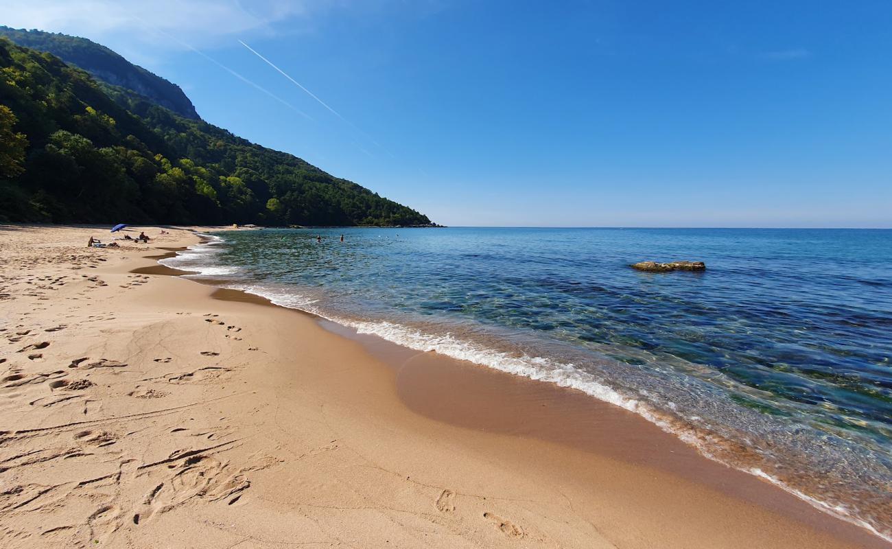 Photo de Bozkoy Plaji avec sable beige de surface