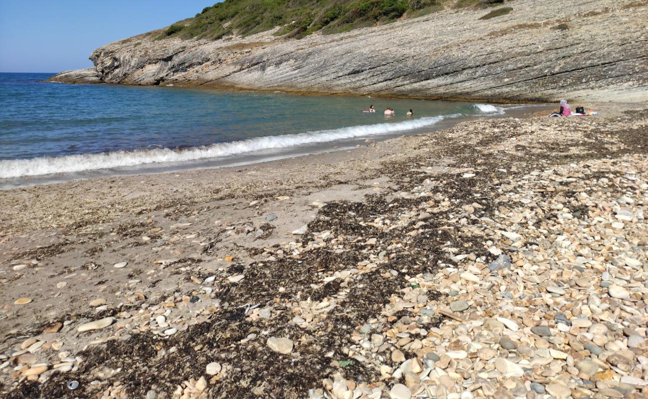 Photo de Zeus Koyu avec sable beige & pierres de surface