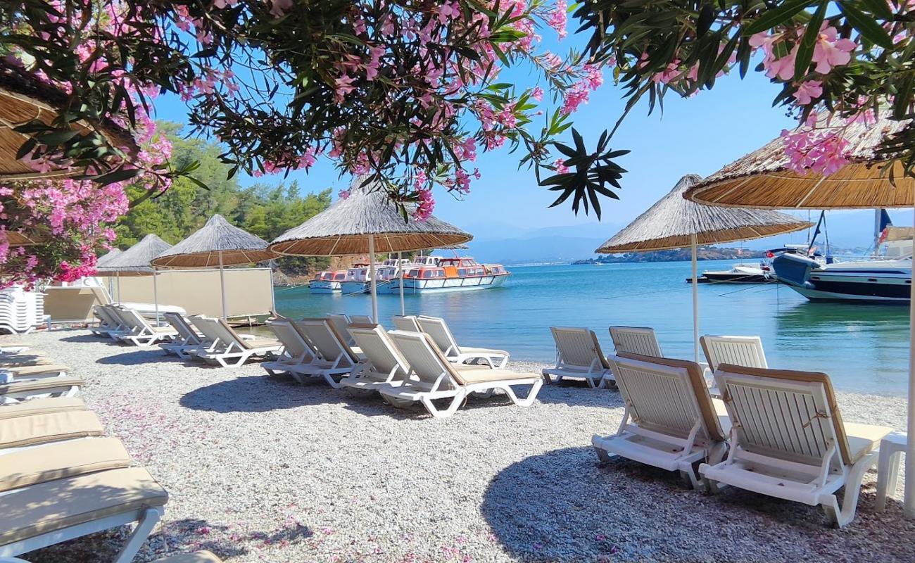 Photo de Alesta Beach avec petits galets gris de surface