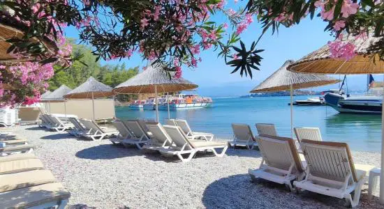 Alesta Beach