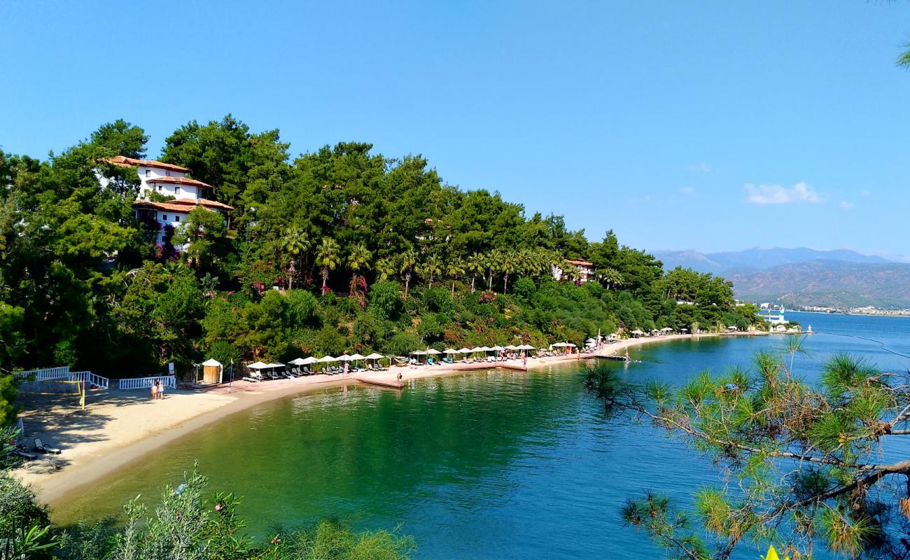 Photo de Letoonia Beach avec sable beige de surface