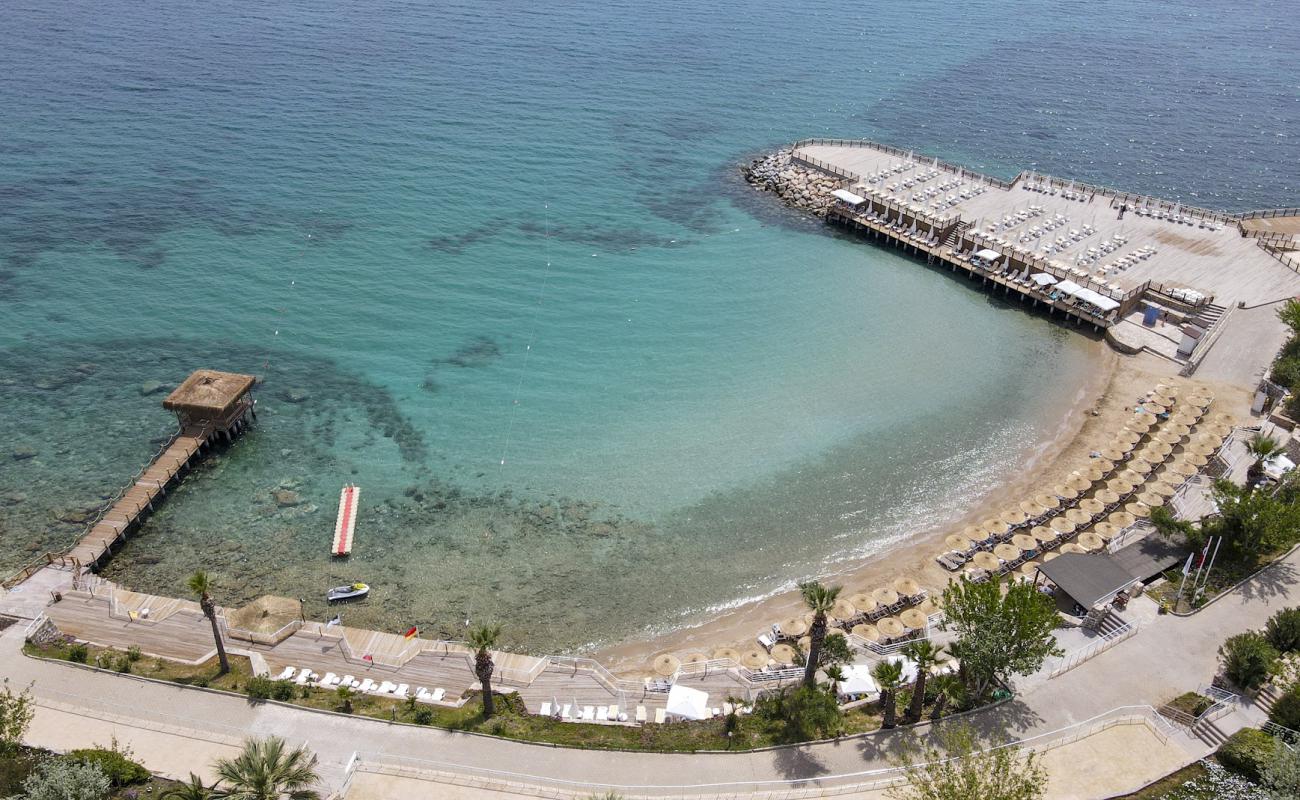 Photo de Palm Wings Beach avec sable beige de surface