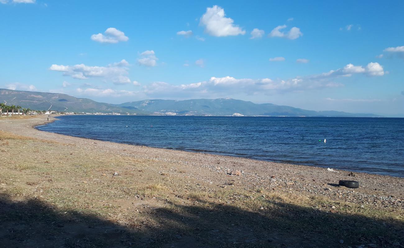 Photo de Doganbey Sakiz Agaci Mevkii Halk Plaji avec sable gris & galets de surface