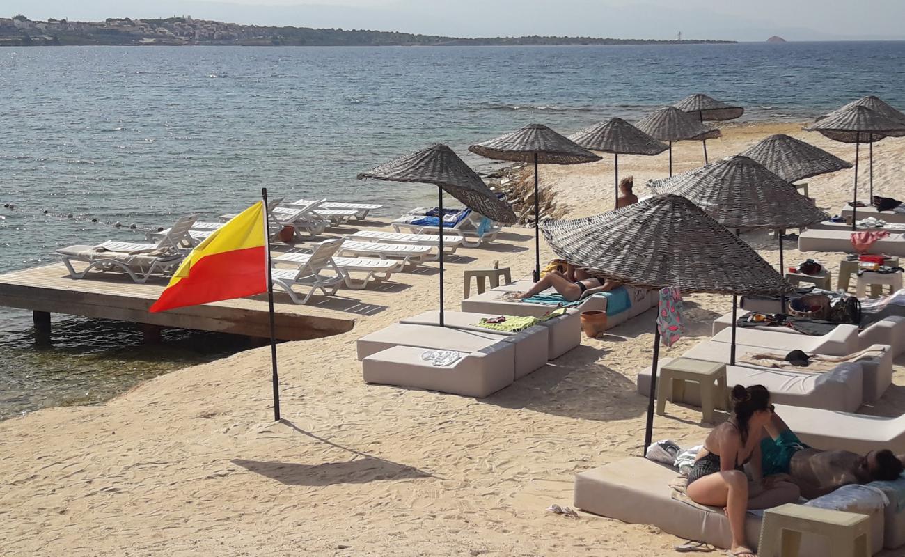 Photo de La Quinta by Wyndham Cesme Beach avec sable beige de surface