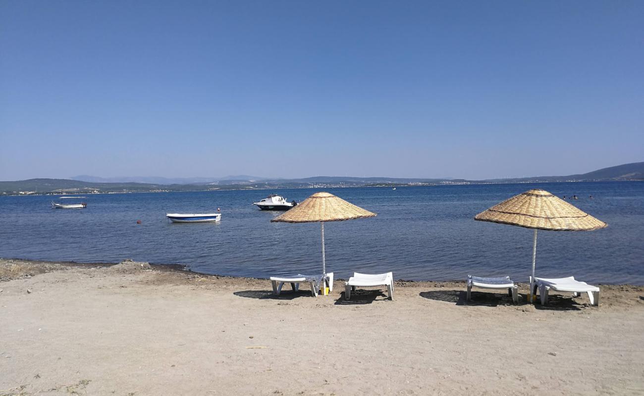 Photo de Gumuskoy Beach avec sable beige de surface