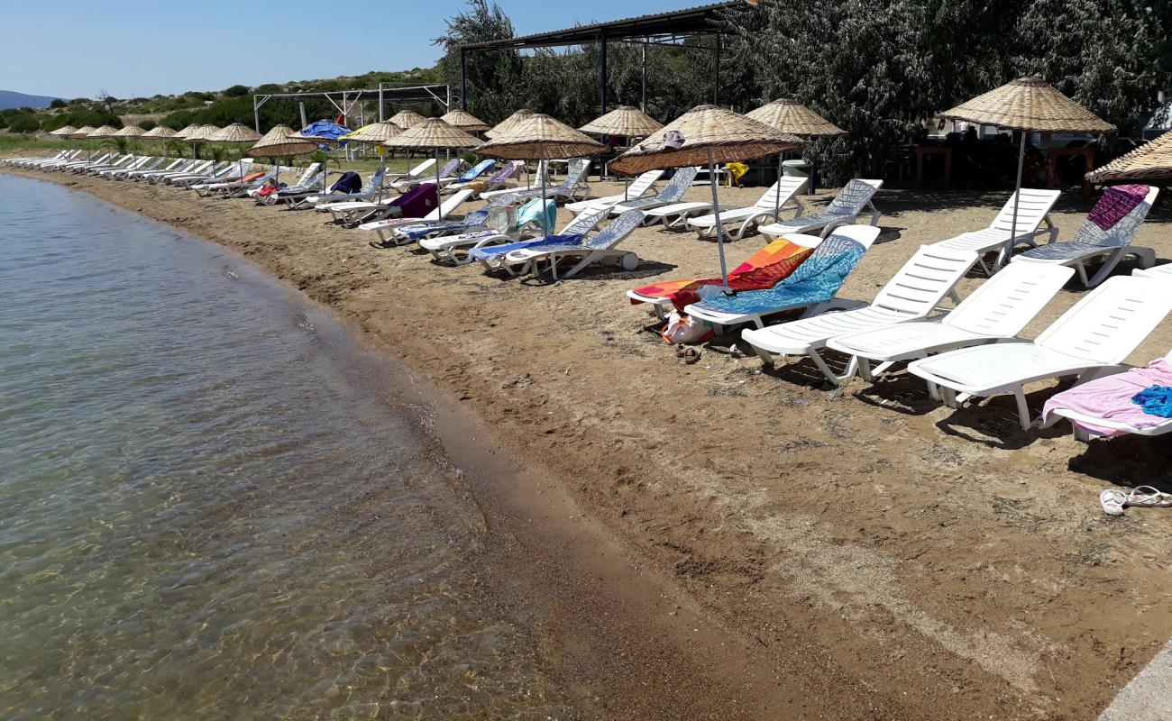 Photo de Torasan Kulubu Beach avec sable beige de surface