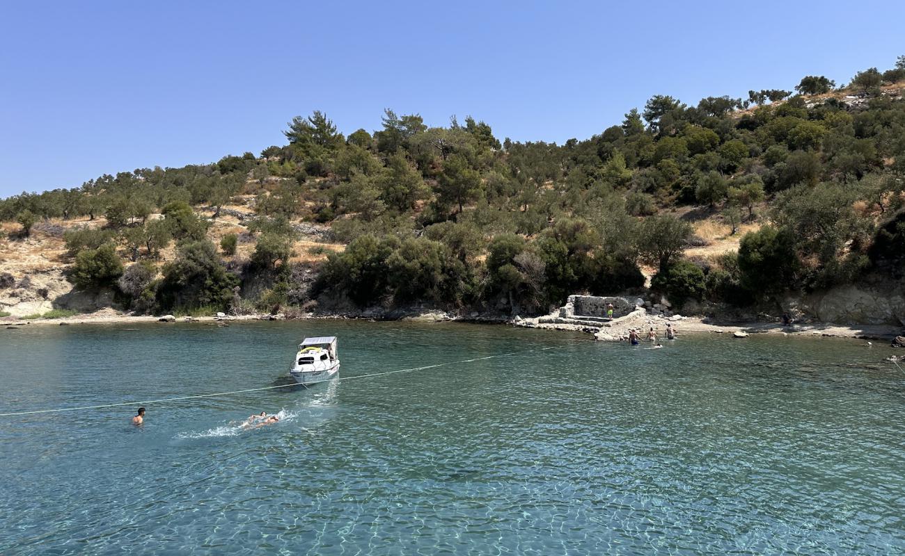 Photo de Bademli Deniz Ilicasi Beach avec terrain rocheux de surface
