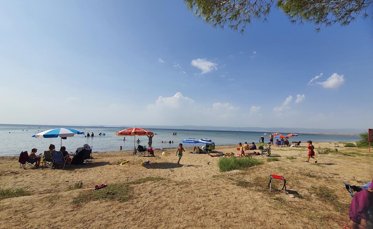 Photo de Saroz Beach avec sable beige de surface
