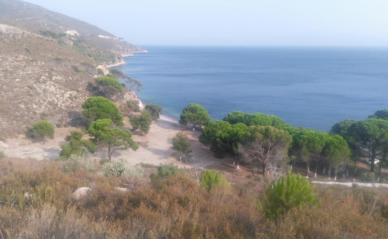 Photo de Ayvazlar Beach avec galets gris de surface
