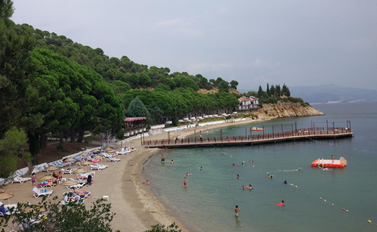 Photo de Karayollari Narli Kampi Beach avec sable beige de surface