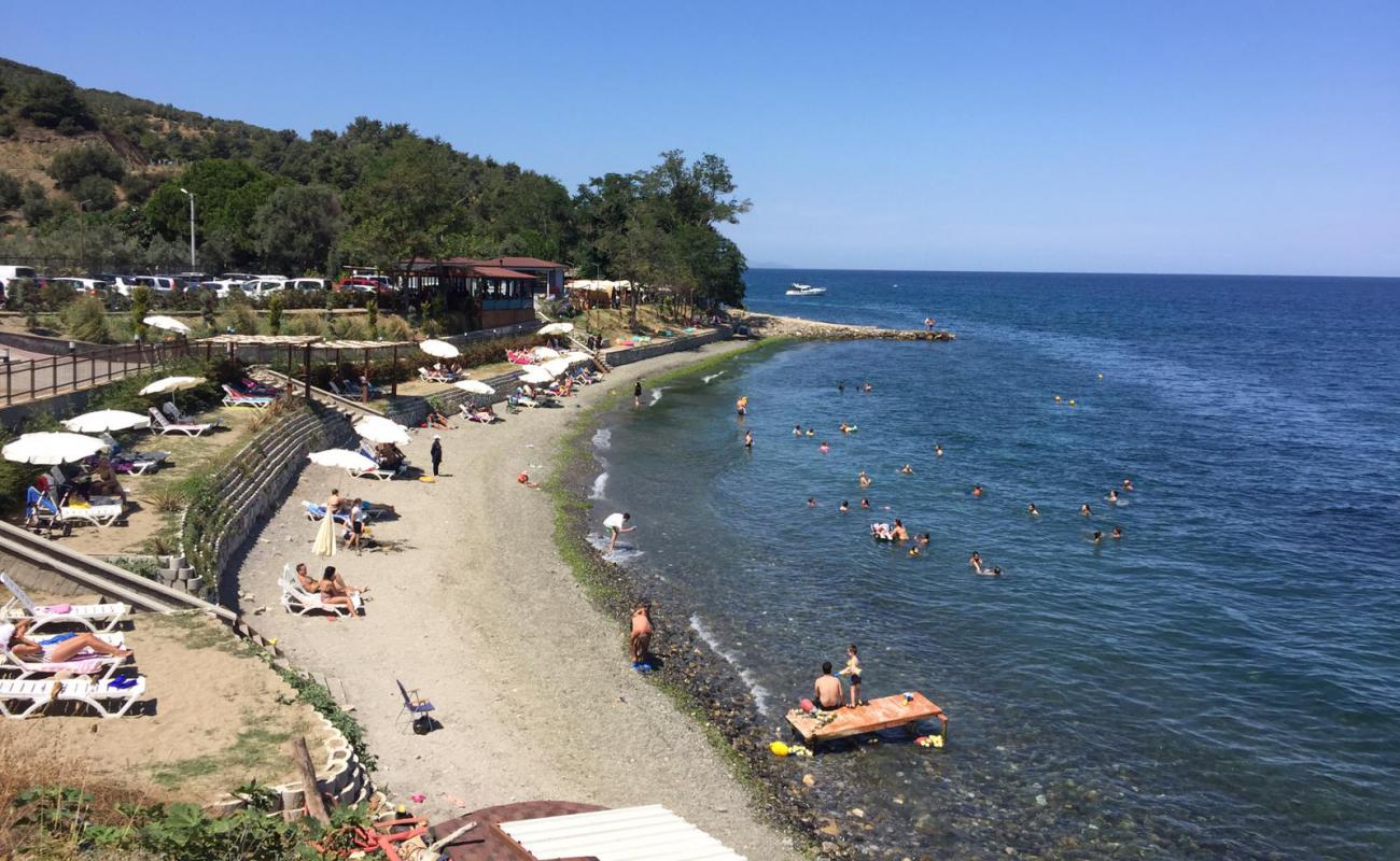 Photo de Sakli Koy Mudanya Beach avec sable gris & galets de surface