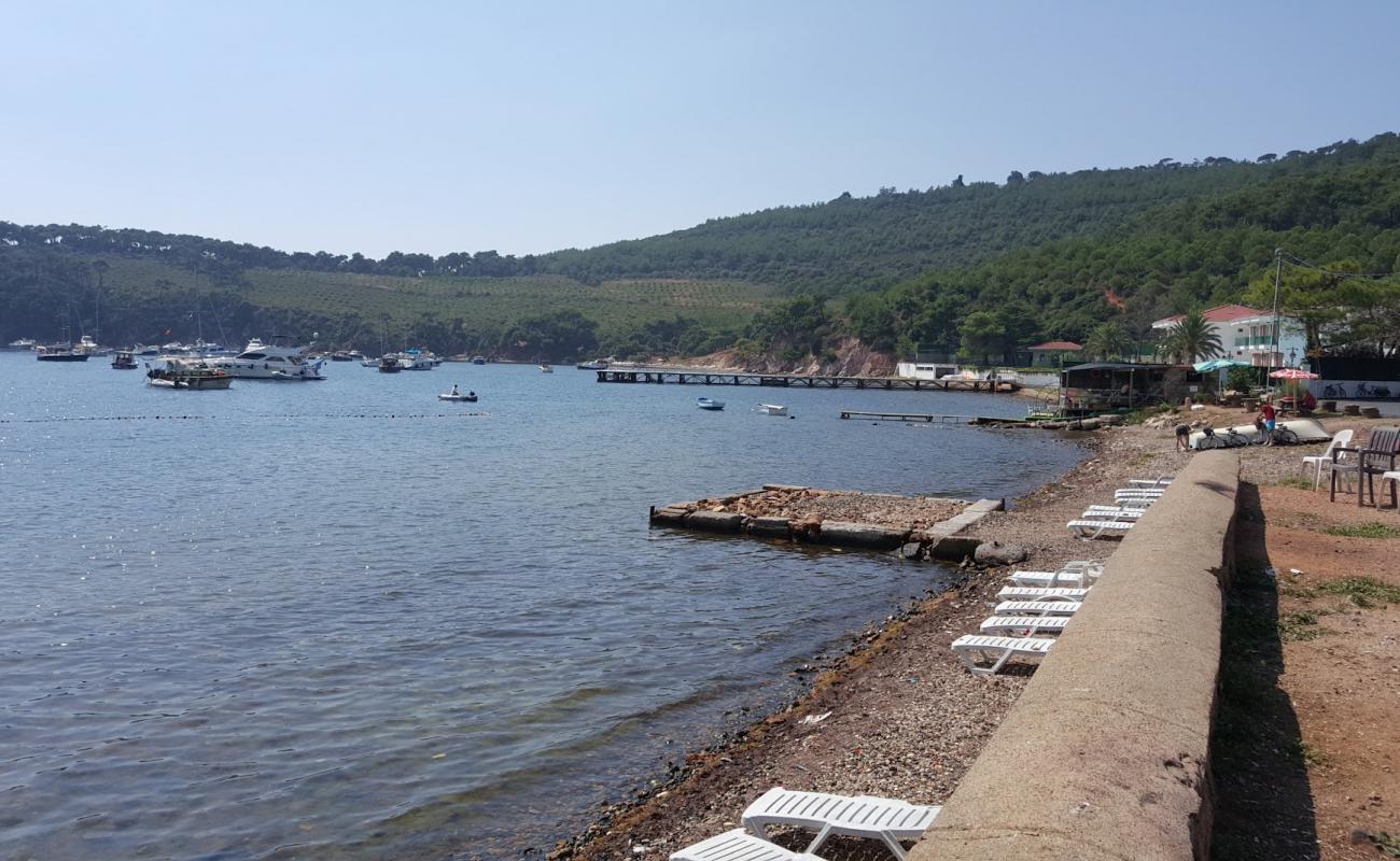 Photo de Pine Harbor Bay avec terrain rocheux de surface