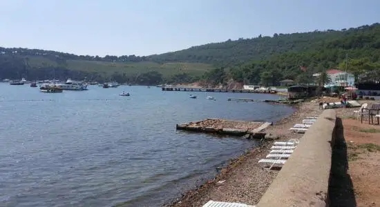Pine Harbor Bay