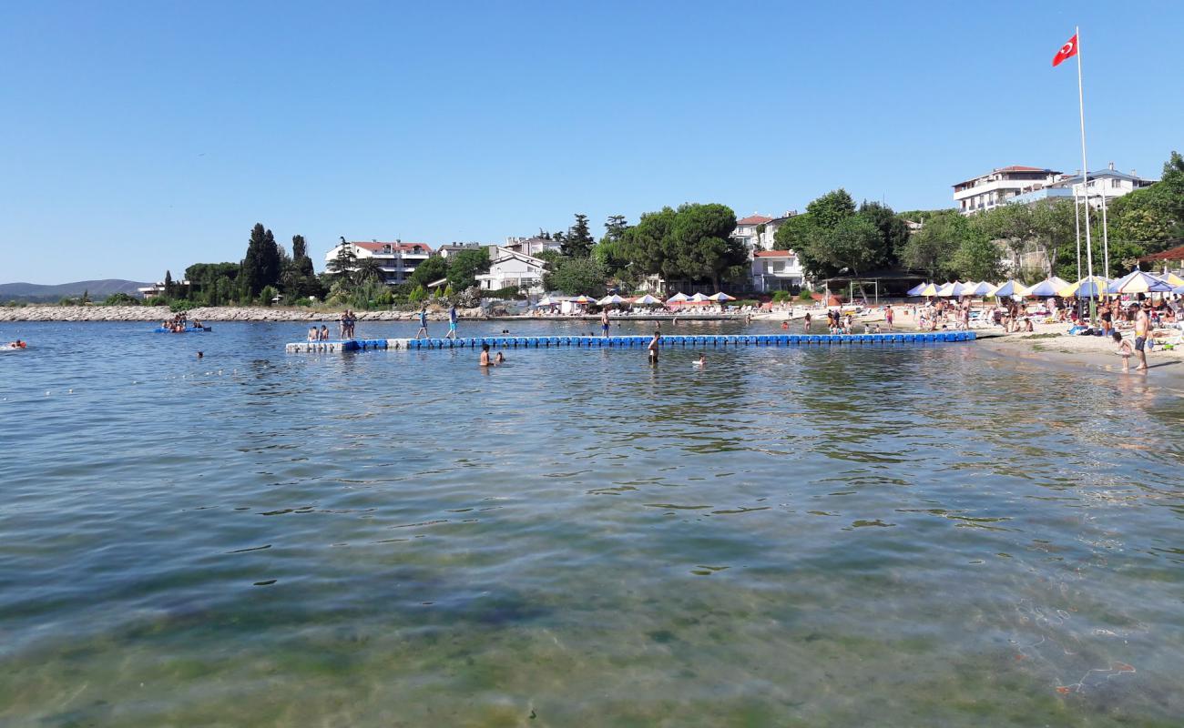 Photo de Bayramoglu Island Beach avec sable beige de surface