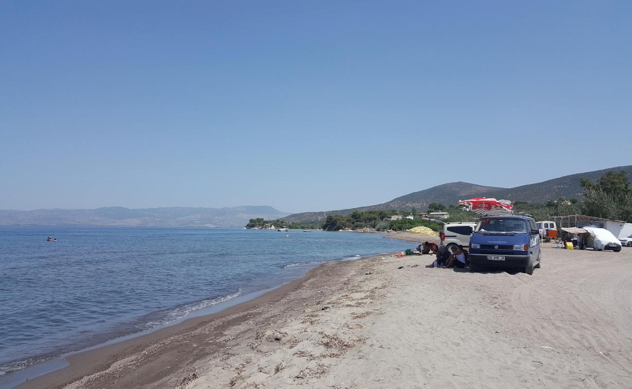 Photo de Deniz Cadir Kamp Beach avec petits galets gris de surface