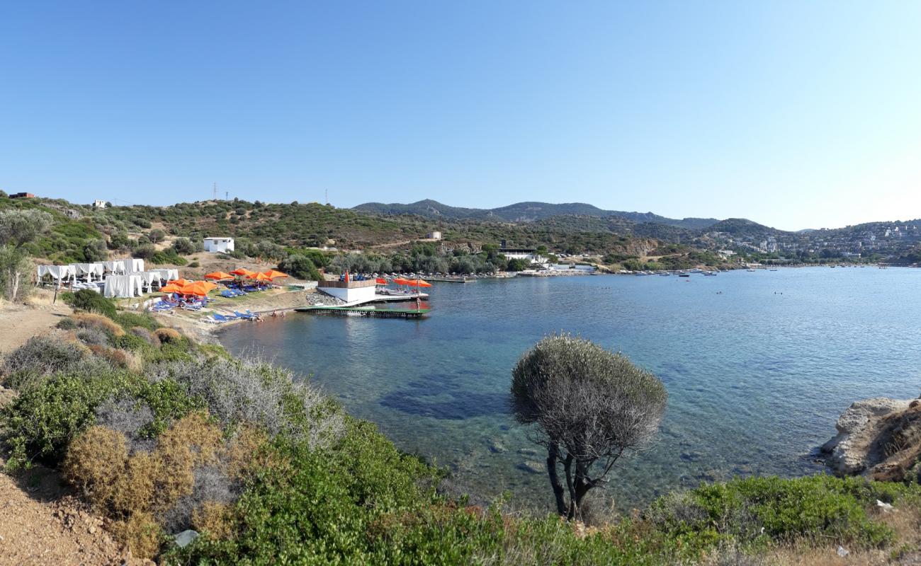 Photo de Pollen Tatil Koyu avec sable gris & galets de surface