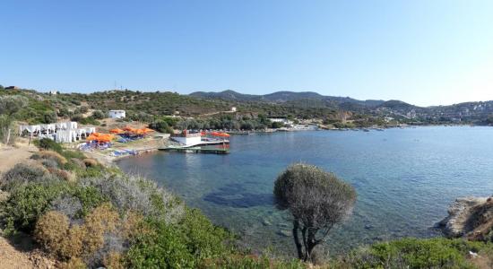 Pollen Tatil Koyu