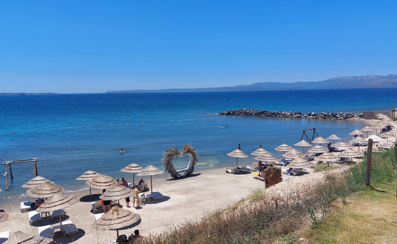 Photo de Qum Beach avec sable beige de surface