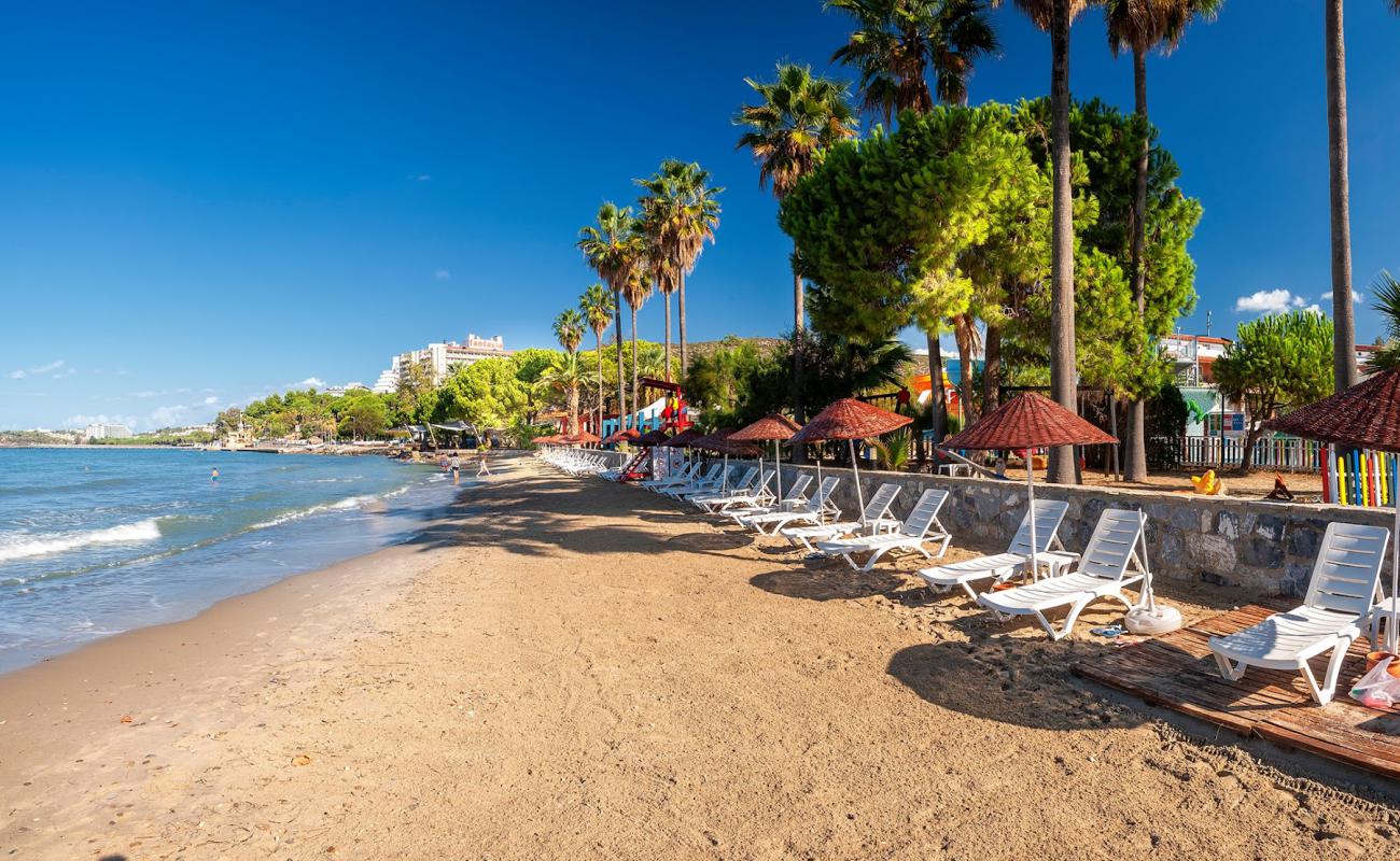Photo de Ephesia Holiday Beach Club avec sable beige de surface