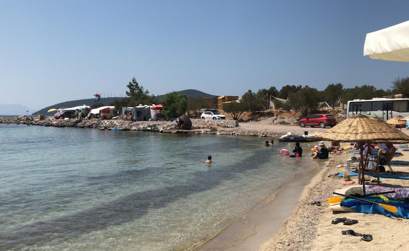 Photo de Iasos Ilyas Camping Beach avec sable beige de surface