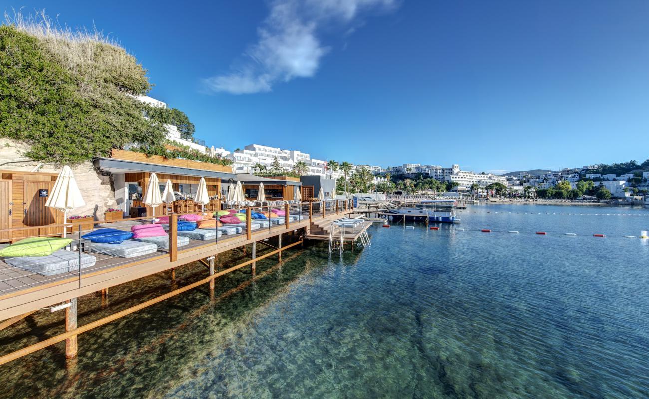 Photo de Elysium Beach Club avec surface béton pavée de surface