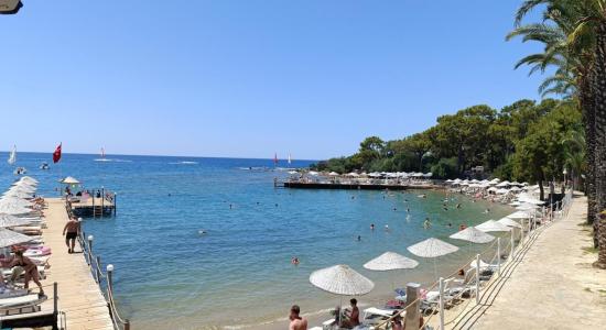 Utopia Resort & Residence Beach