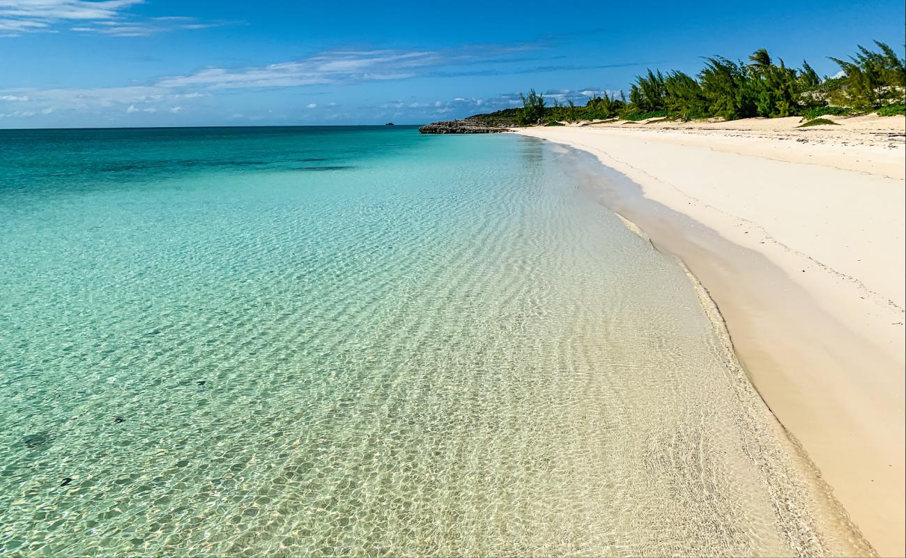 Photo de Taylor Bay beach avec sable beige fin de surface