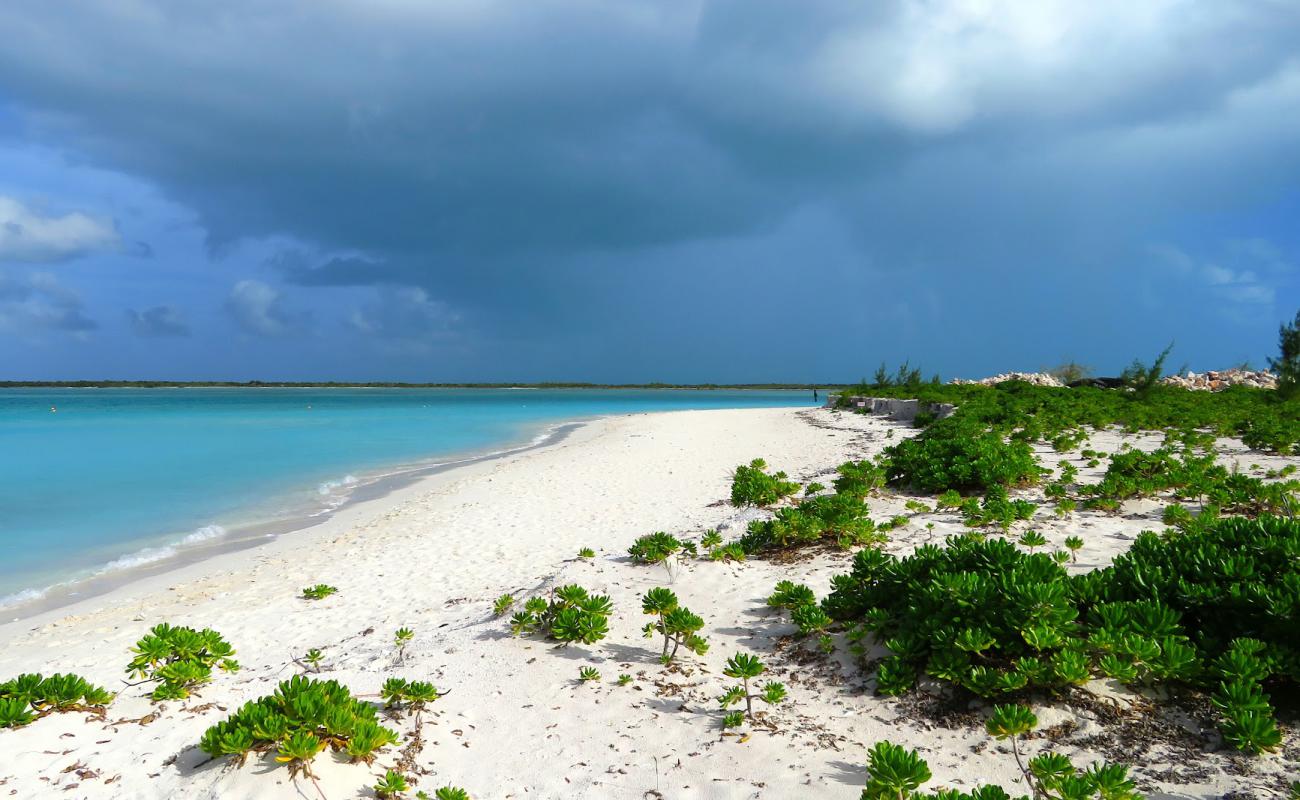 Photo de Leeward beach avec sable blanc de surface