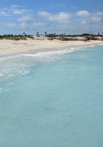 Iguana Island