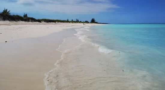 Plage de Parrot Cay