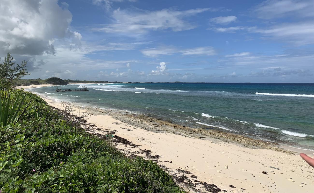 Photo de Conch Bar beach avec sable beige de surface