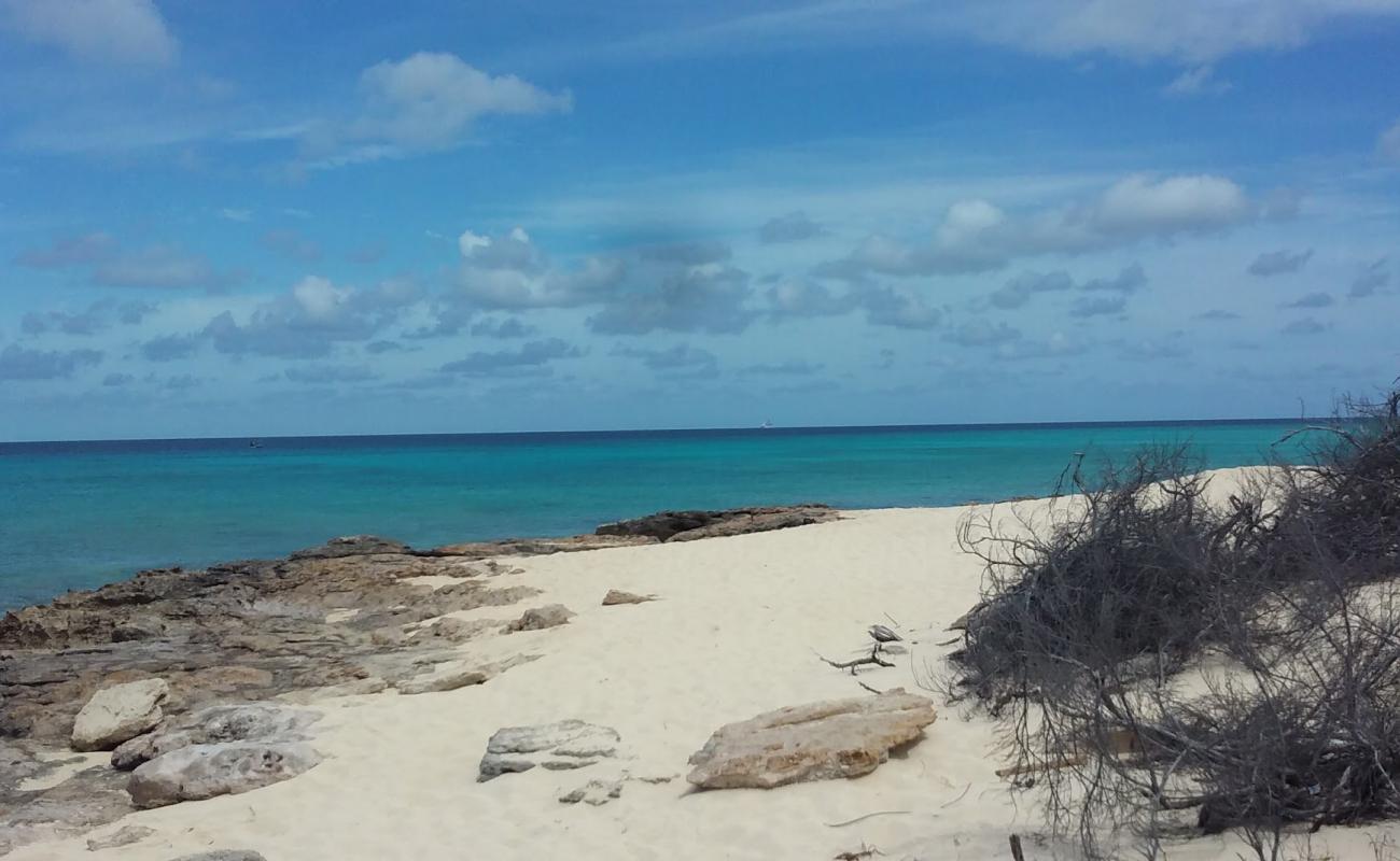 Photo de English Point beach avec sable beige & pierres de surface