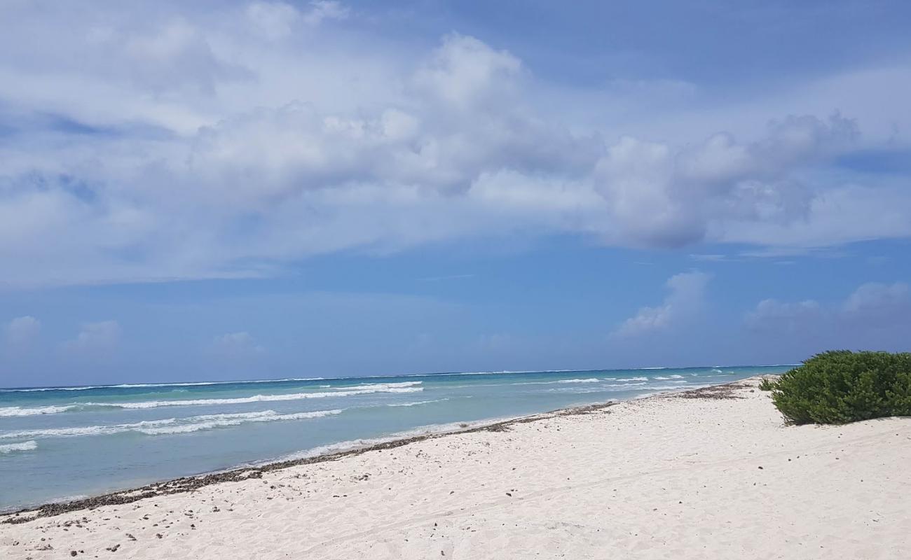 Photo de Corktree beach avec sable beige fin de surface