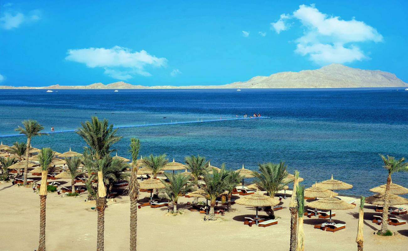 Photo de Sunny Beach avec surface béton pavée de surface