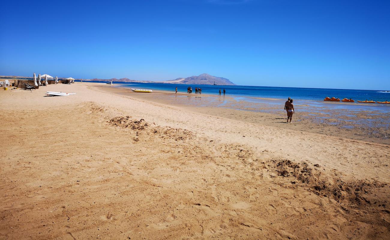 Photo de Adrenaline Beach Park avec sable lumineux de surface