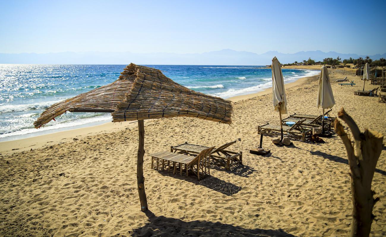 Photo de Nuweiba Club Resort avec sable lumineux de surface