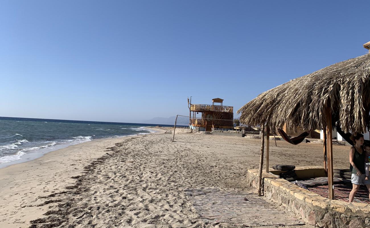 Photo de Dana beach avec sable lumineux de surface