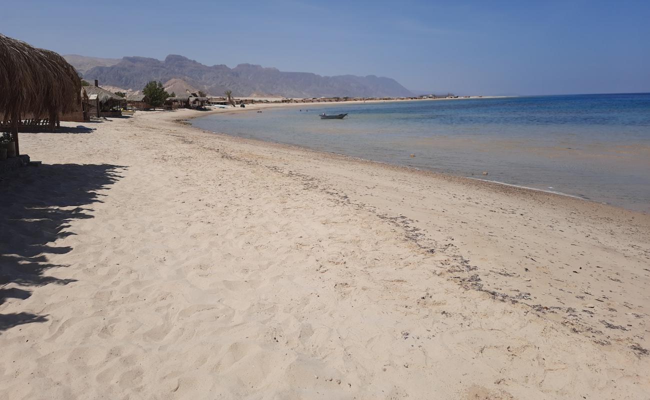 Photo de Friends Camp beach avec sable lumineux de surface