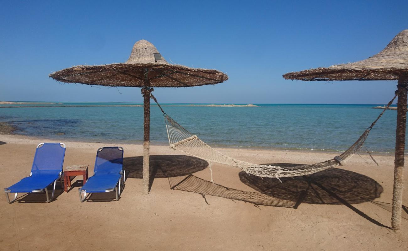 Photo de Turtles Beach Resort Hurghada avec sable lumineux de surface